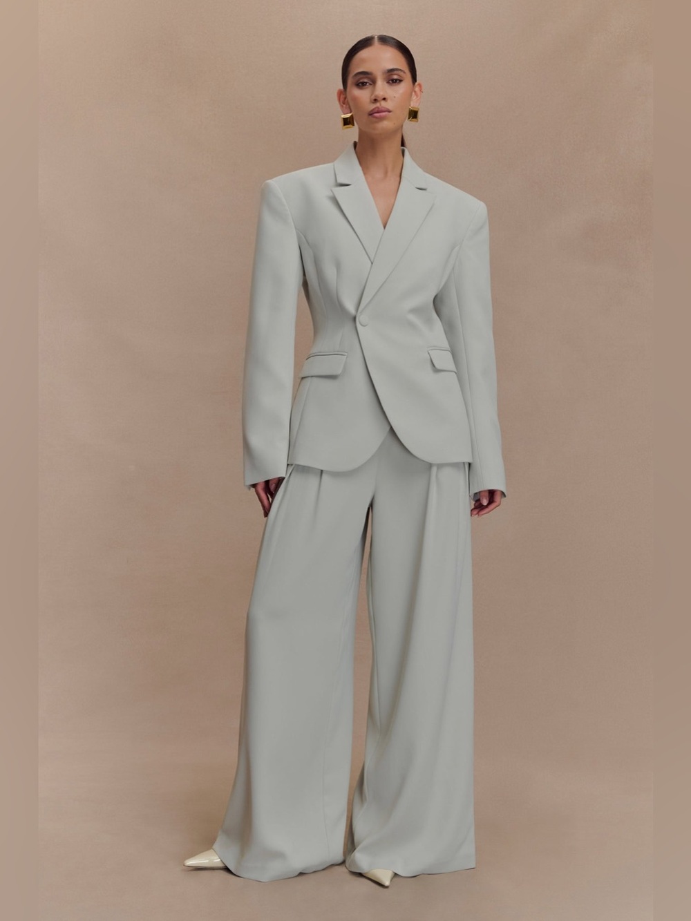 MESHKI Jameson Pleated Wide Leg Pants Light Sage NWT M